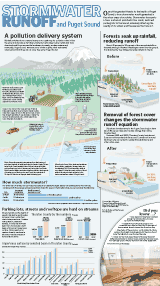 Stormwater Runoff and Puget Sound