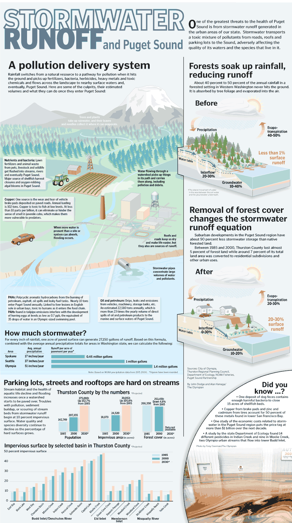 Stormwater Runoff and the Puget Sound