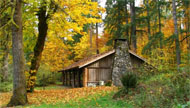 A Cabin In The Woods