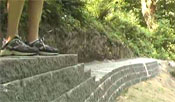 Out & About - Local Trails